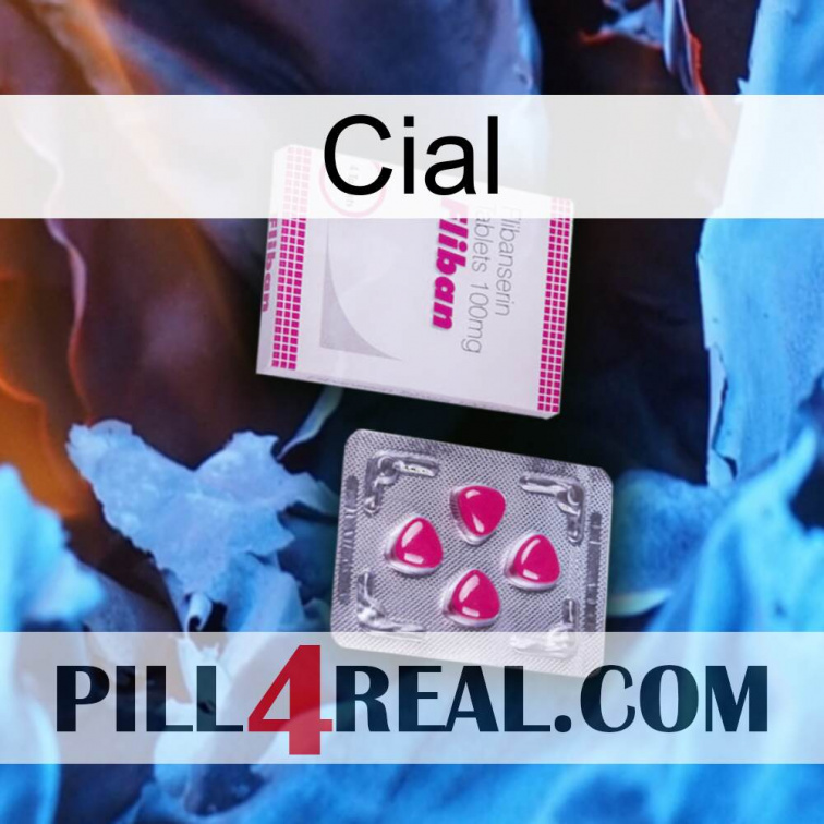 Cial 32